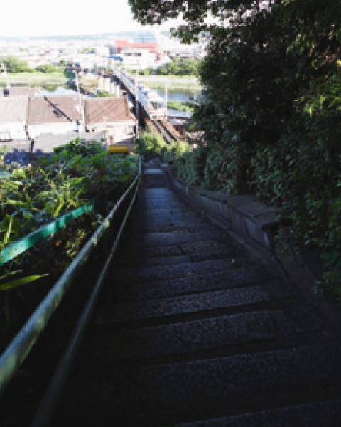 【城址公園の階段】