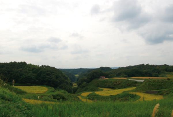 【田園】棚田