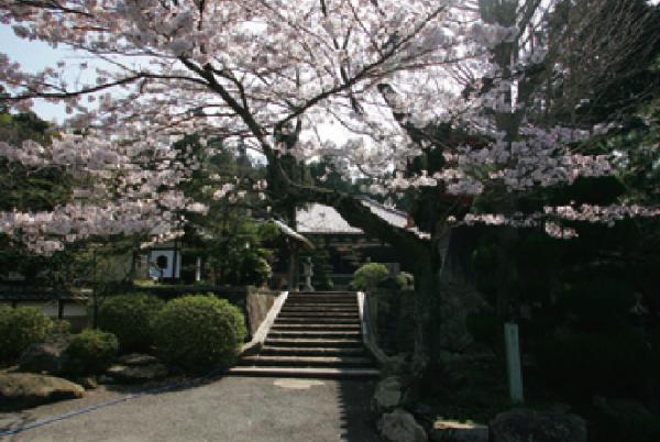 【東光寺】
重分の本堂、多宝塔が威容を今に伝える。