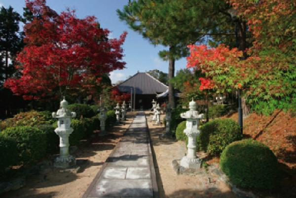 【法光寺】
秋の紅葉に錦繍の風情が漂う。