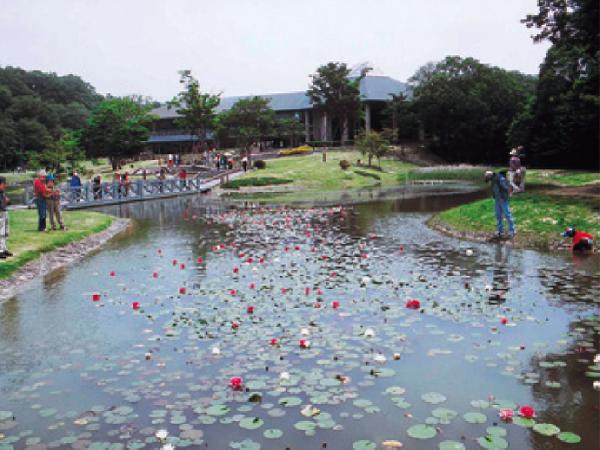 【兵庫県立三木山森林公園】
「森と暮らす」がコンセプト。森林浴、散歩などあふれる自然が魅力。